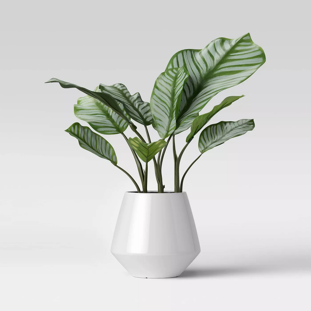 PROJECT 62 Mid Century Polypropylene Planter White, 16inch