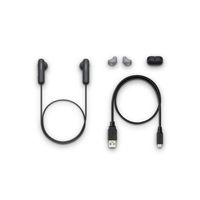 Sony WISP500 Wireless InEar Sports Headphone