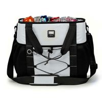 Arctic Zone 30Can Insulated Sport Tote GREY