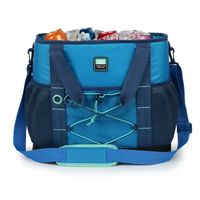 Arctic Zone 30Can Insulated Sport Tote BLUE