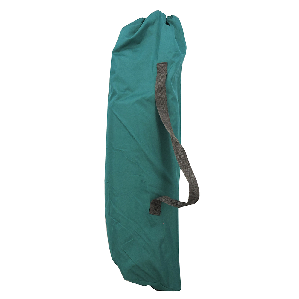 Member's Mark Swing Chair Lounger in Green