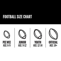 WILSON NCAA ICON Official Football
