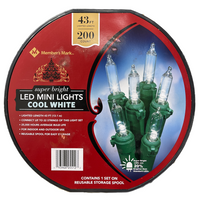 MEMBER'S MARK Super Bright LED Mini Lights, Cool White