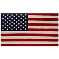 Valley Forge Flag 990001 29 Inch By 50 Inch Poly Flag With Sleeve