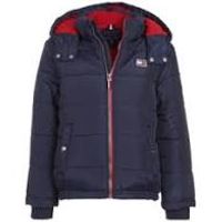 Tommy hilfiger Jacket Size XS